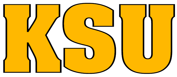 Kennesaw State Owls 0-2011 Wordmark Logo t shirts iron on transfers